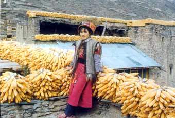 022qiang.jpg
